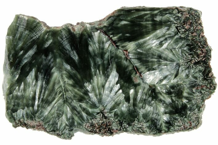 Polished Seraphinite Slab - Siberia #183524